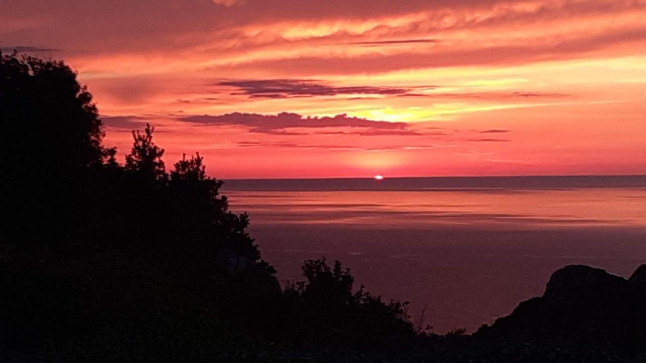 Villetta Rocchi - Costa Paradiso Zewnętrze zdjęcie