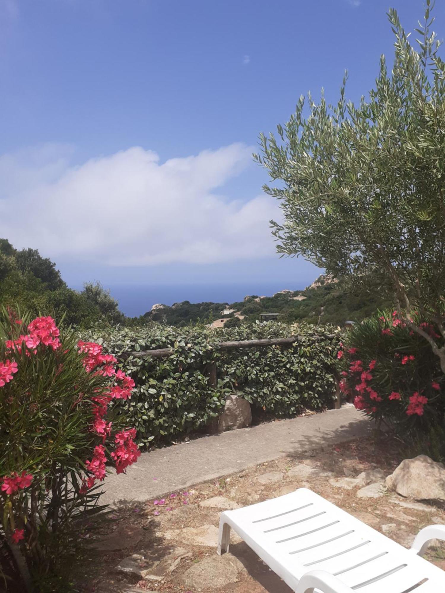Villetta Rocchi - Costa Paradiso Zewnętrze zdjęcie